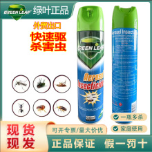 Green Leaf Ӣ�İ暢�x���F�����x�����șΛρș�҃ȼ��Ç��F��