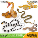 仿真野生动物蛇类模型黄金大蟒蛇眼镜蛇珊瑚蛇儿童科教认知摆件