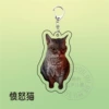 Anger cat