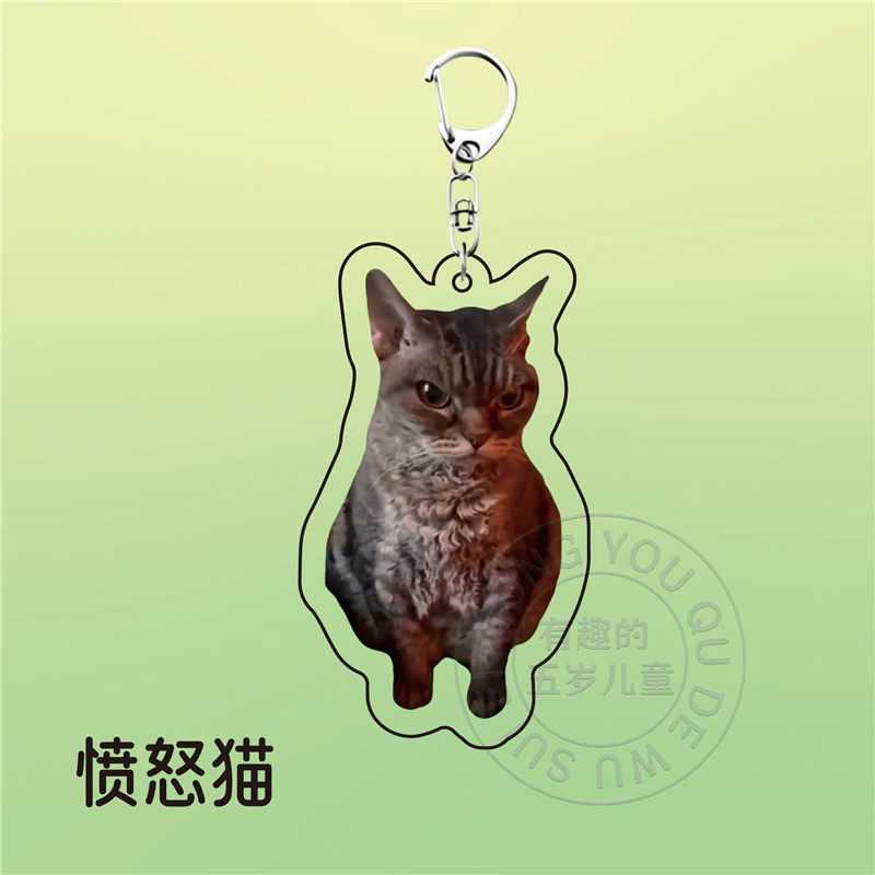 Acrylic cute keychain, backpack, pack, pendant for friend