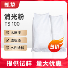 赢创水性消光粉TS100 气相法哑光剂涂料漆聚氨酯涂料 油墨助剂