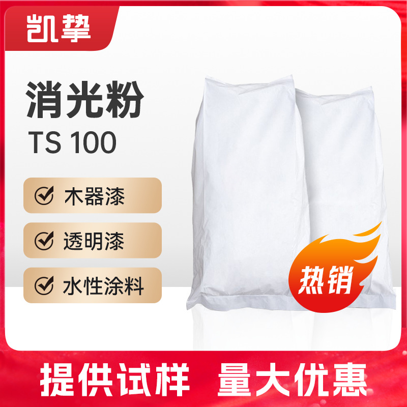 赢创水性消光粉TS100 气相法哑光剂涂料漆聚氨酯涂料 油墨助剂