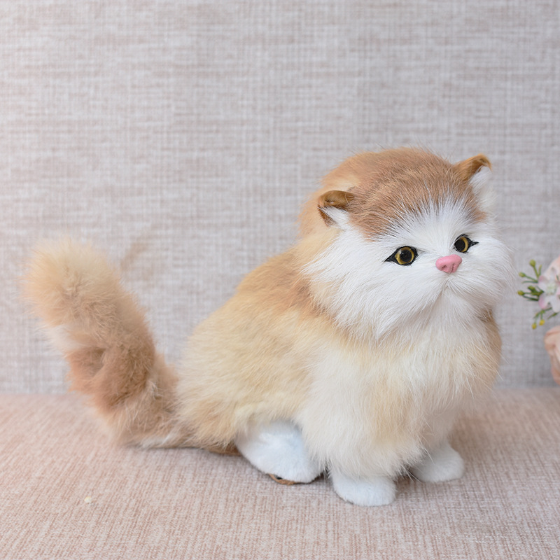 진짜 머리 작은 노란 고양이