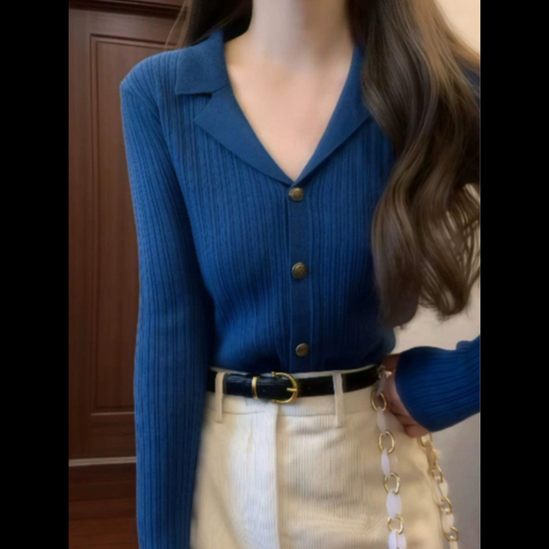 蓝色翻领针织开衫外套女早秋季收腰内搭软糯毛衣短款独特绝美上衣|undefined