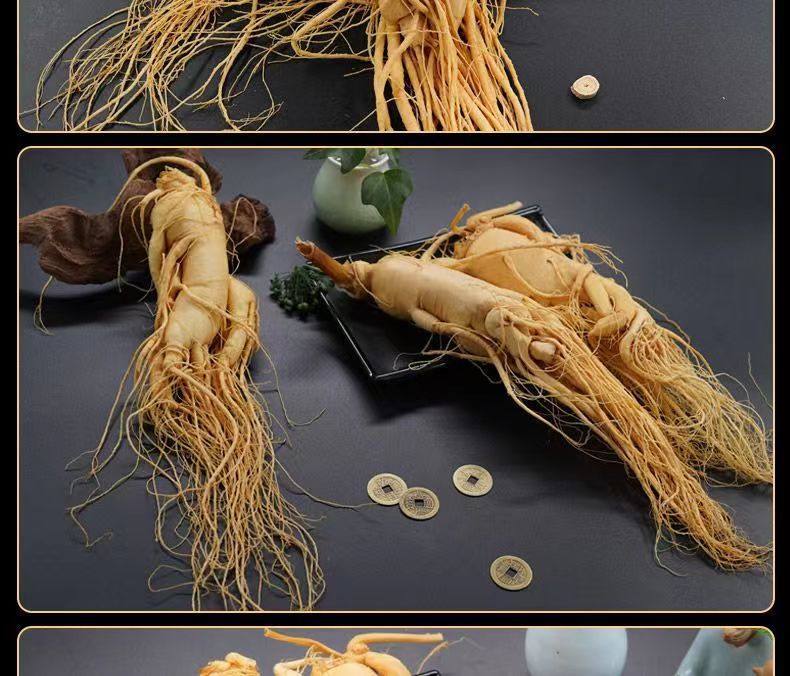 Fresh Changbai Mountain Ginseng Ren Shen Whole Root for Tea Wine and Cooking 350g quality and texture