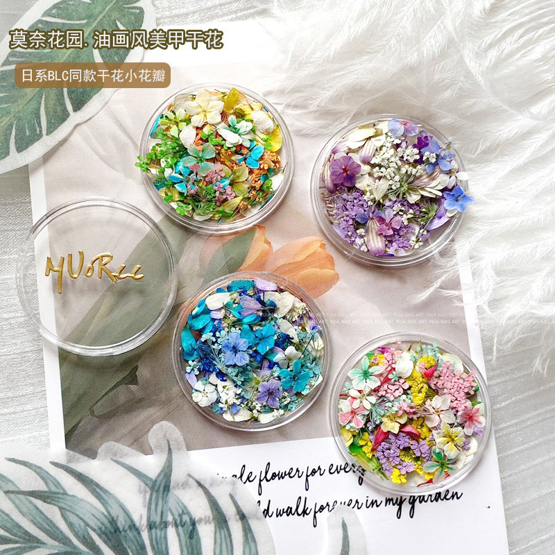 Japanese style ins style nail art dried flower Monet garden oil painting color matching small floral mixed boxed nail art jewelry wholesale