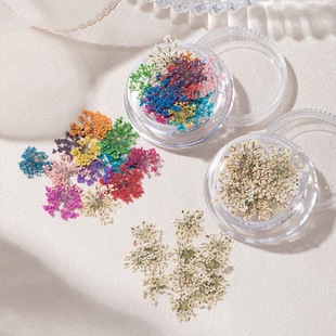 2024��ϵins�W�t����diy���w���׸ɻ���ɫ�����b�Ʒ�D��ָ���N��