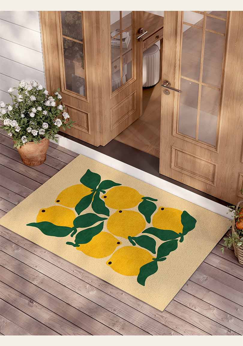 Entrance door mat with a light luxury and high-end feel, vintage style, dirt-resistant, non-slip, washable PVC loop mat for the foyer entrance