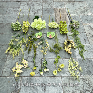 �¿�Gɫ��c�����l  ɭϵ���ɾGɫ���ʾG��Y��·���bٻ�