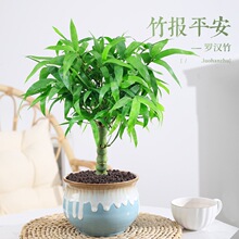 ����������_�h���Ϙ��ļ�����ֲ���k���҃ȿ͏d�����辰���ܾGֲ