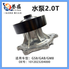 �����ڴ���GS8/GAB/GM8 1012023204000 ˮ��2.0T