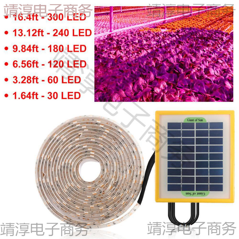 メーカー直売室内植物成長灯太陽光多肉補光灯LED全スペクトルは太陽光野菜に似せています。|undefined