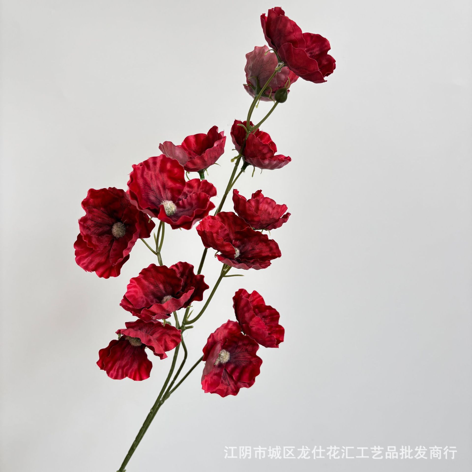 포플러 여러 개의 포크 2개