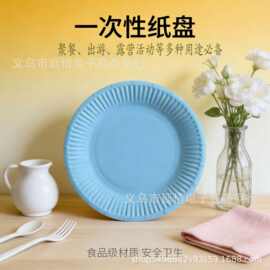 一次性纸盘蓝色圆盘露营野餐春游学生手工DIY用纸盘源头厂家 批发