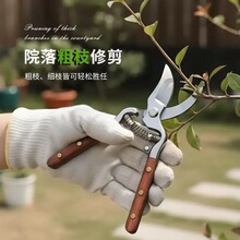 �tľ���@ˇ��������֦���ü�����֦��@���޼�������֦��ˇ�޻���