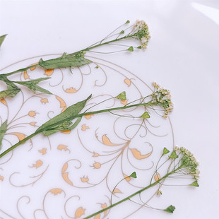 �j�˻���Ȼ�滨�ɻ�Ѻ�����z�֙C���Ʒ�Y�ͯ�N����޹Ϟ�T����