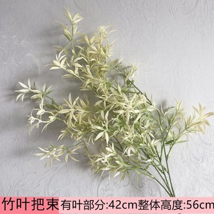 �������~������֦ ��c����ɭϵϵ·���҃��쾰�bGɫ�Gֲ�~��