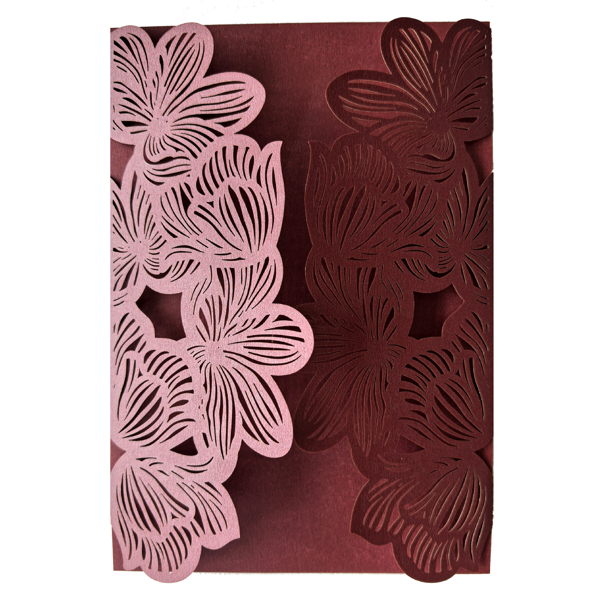 QQ图片20250301115227