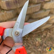 ?�nʽ�@ˇ�����FƤ���F�z���۹��I������������¼�������;