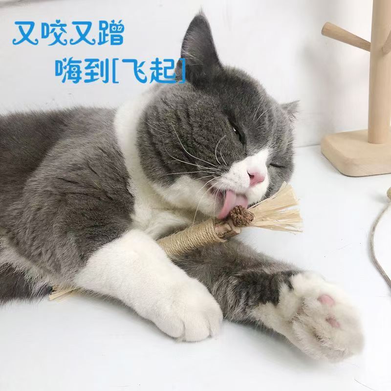 木天タデの歯磨き猫のおもちゃは、猫のミントボールを噛んで猫の棒猫のおもちゃのペット用品をからかうことができます。|undefined