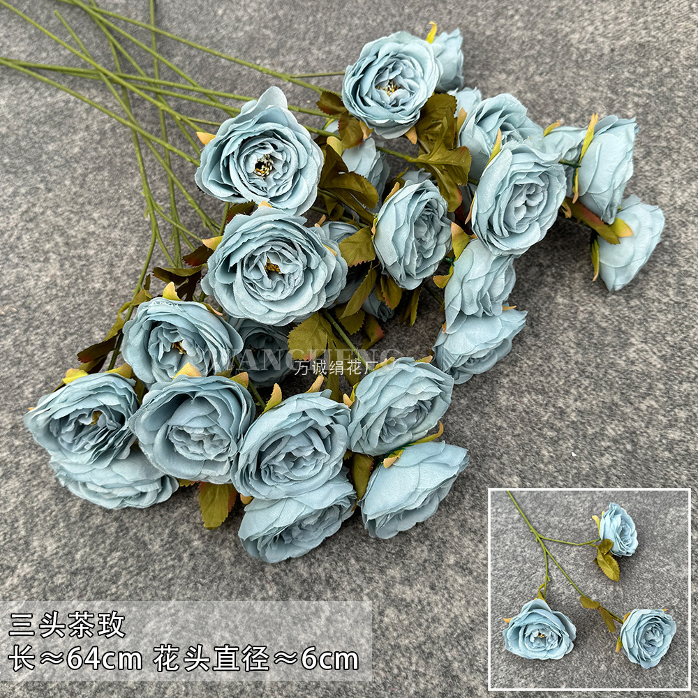 Three-head Tea Rose-haze Blue