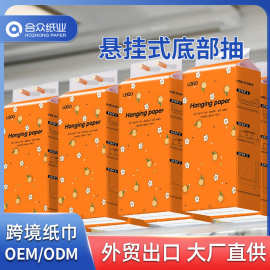 外贸出口定制纸巾悬挂式 挂墙抽纸 抽纸悬挂式 挂壁式抽纸卫生纸