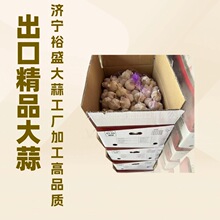 ���Ƴ��ڴ��⣬�����հף���Ƥ���tƤ���t�⣬��ش��⣬�������