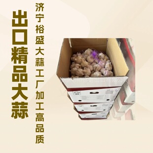 ���Ƴ��ڴ��⣬�����հף���Ƥ���tƤ���t�⣬��ش��⣬�������