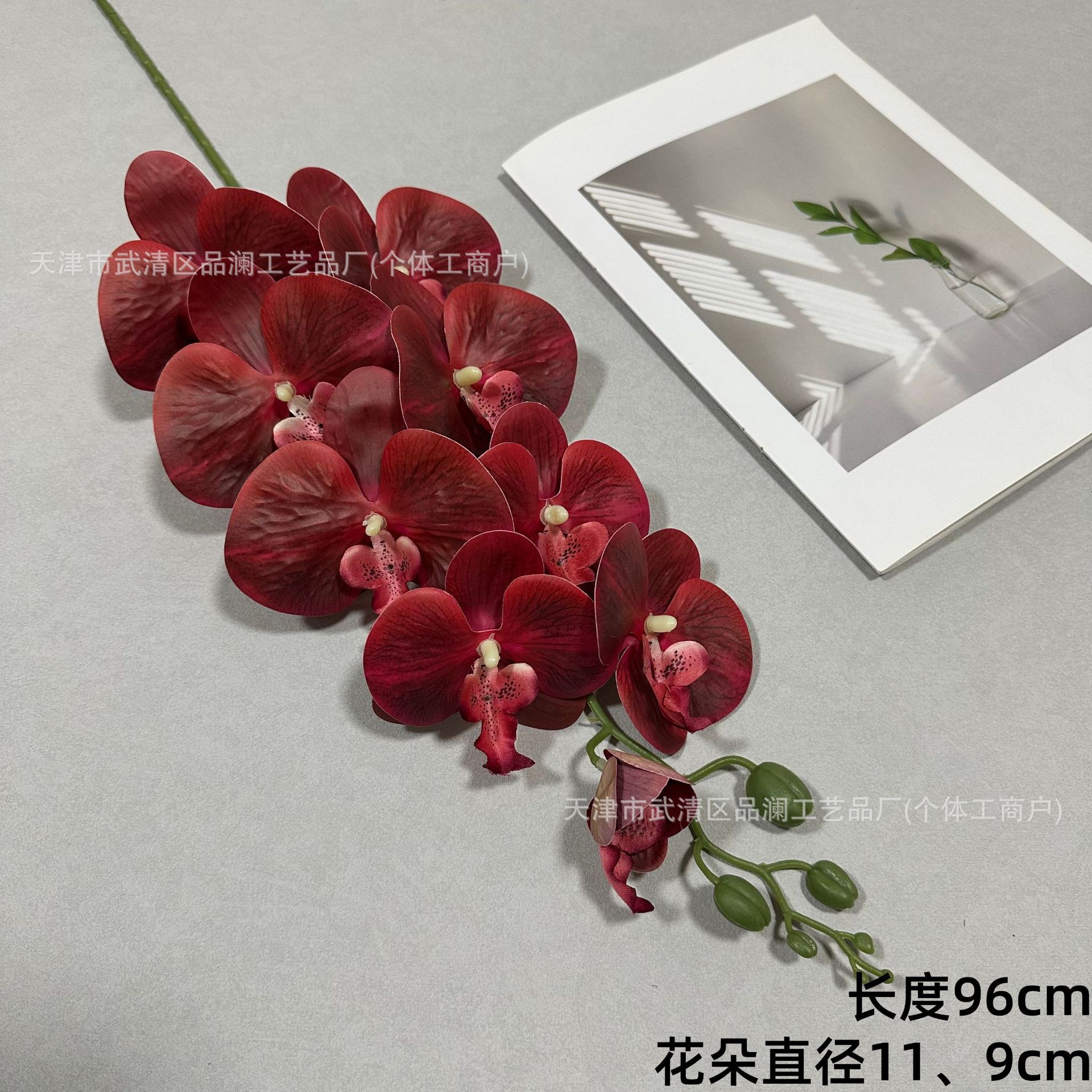 3D 필름 9두 호접란