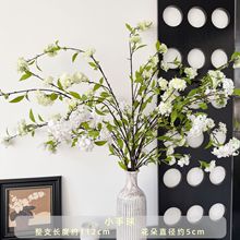 С������滨�Ҿӿ͏d�[���Ƶ��b���ؼٻ��҃��쾰����ѩ������