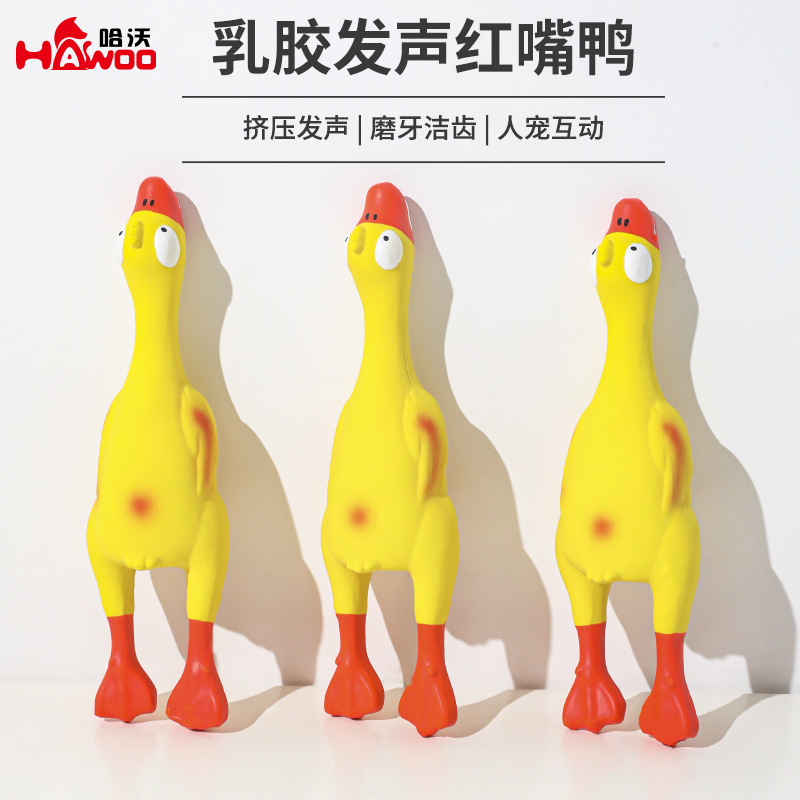 P en stock al por mayor de látex Hawo juguete de sonido boca roja pato Internet celebridad mascota mordedura resistente pollo afilado Limpieza de dientes perro juguete