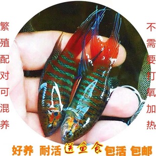 �Ї����~ ���� ��ͥ�^�p�~ ��ˮ�~ �����~ ���_�~ �ֽ� ���~��