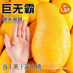 ���Ͻ��â�����rˮ����������10���l�������ش����������ˮ��â