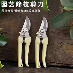 强力不锈钢修枝剪 剪粗枝果园摘果专用修花疏果多功能园林树枝剪
