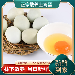 ���l�� �r��ɢ�B���u�� ���r���u�����u�� С���Y���b�u��