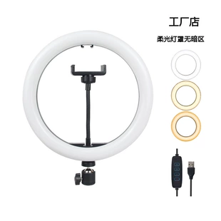 Подсветка для камеры, USB, 10 дюймов (26 см), держатель для телефона, регулируемая яркость и цвет