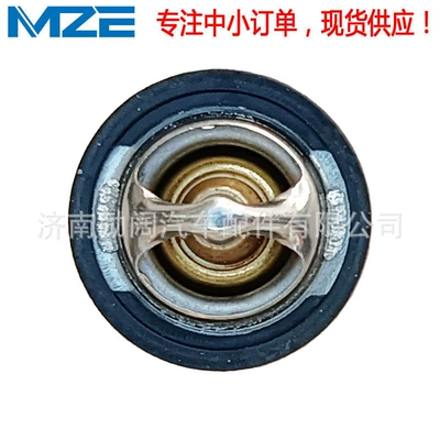 Thermostat 17670-48H00-000 17670-48H01-000 Suitable