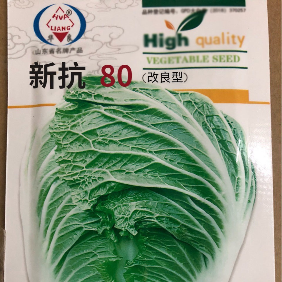 批发山东华良新丰抗80改良型大白菜种子 阳台菜园基地菜籽直批