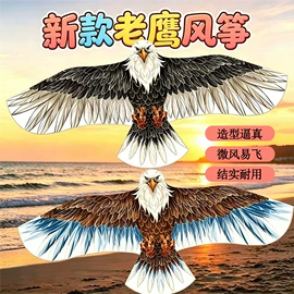 风筝;其他运动休闲