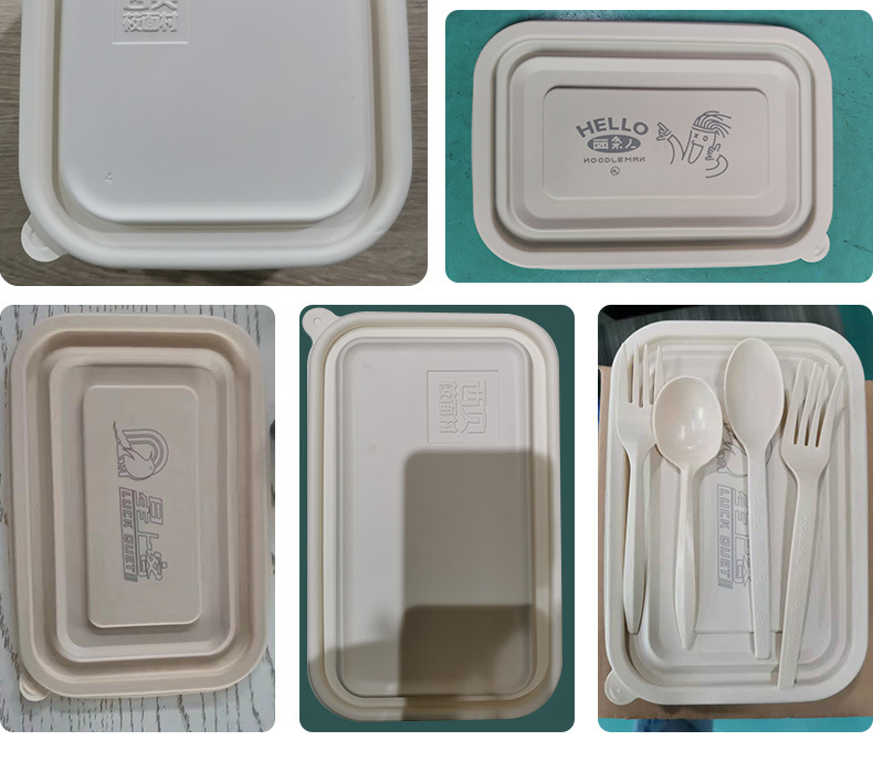可降解一次性餐盒-RF5G_02