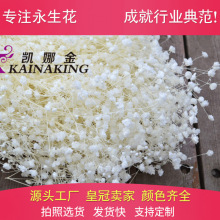 厂家批发保鲜中号满天星永生花七夕情人节礼盒花束配材配花