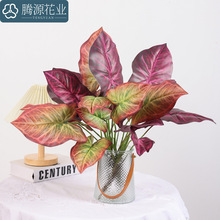 �羳�����������^�~ С̖�����B���˽�����辰�Gֲ�[���Ҿ��b�