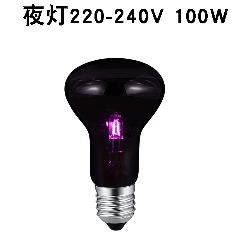 R63220v 야간 조명 100w