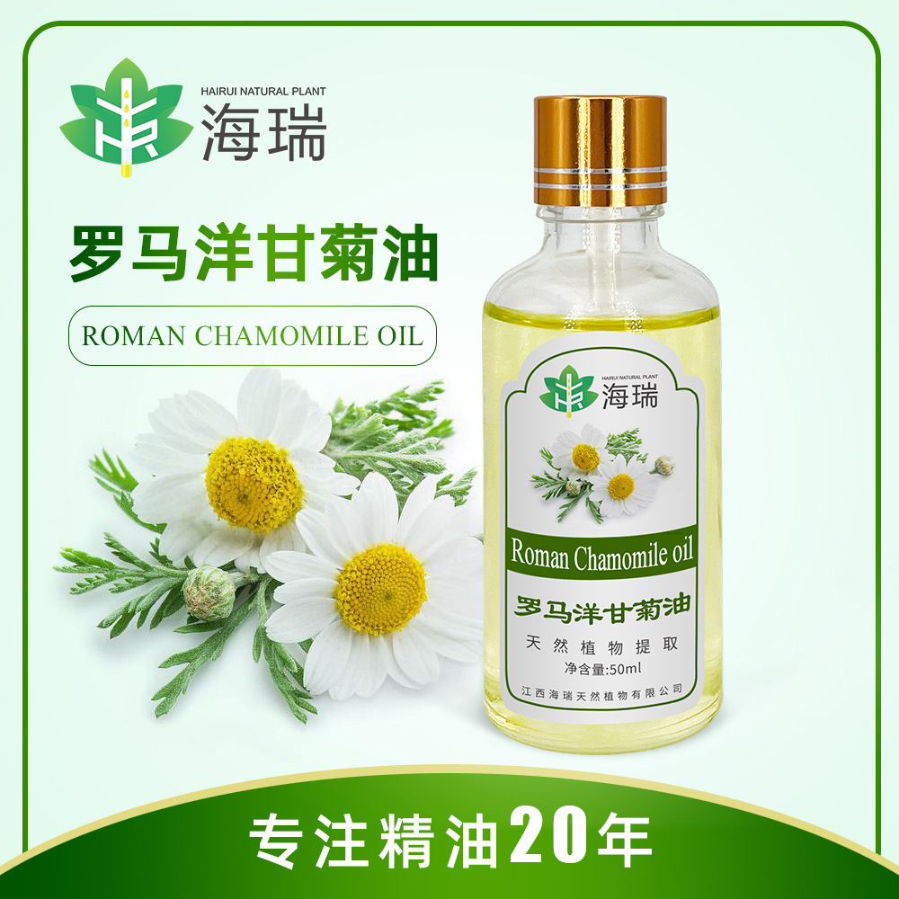 罗马洋甘菊油 植物提取 物美价廉