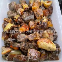 波蜜堂琥珀蜜蜡 原矿蜜蜡原石 珠子料品质好形状规整鸡油黄