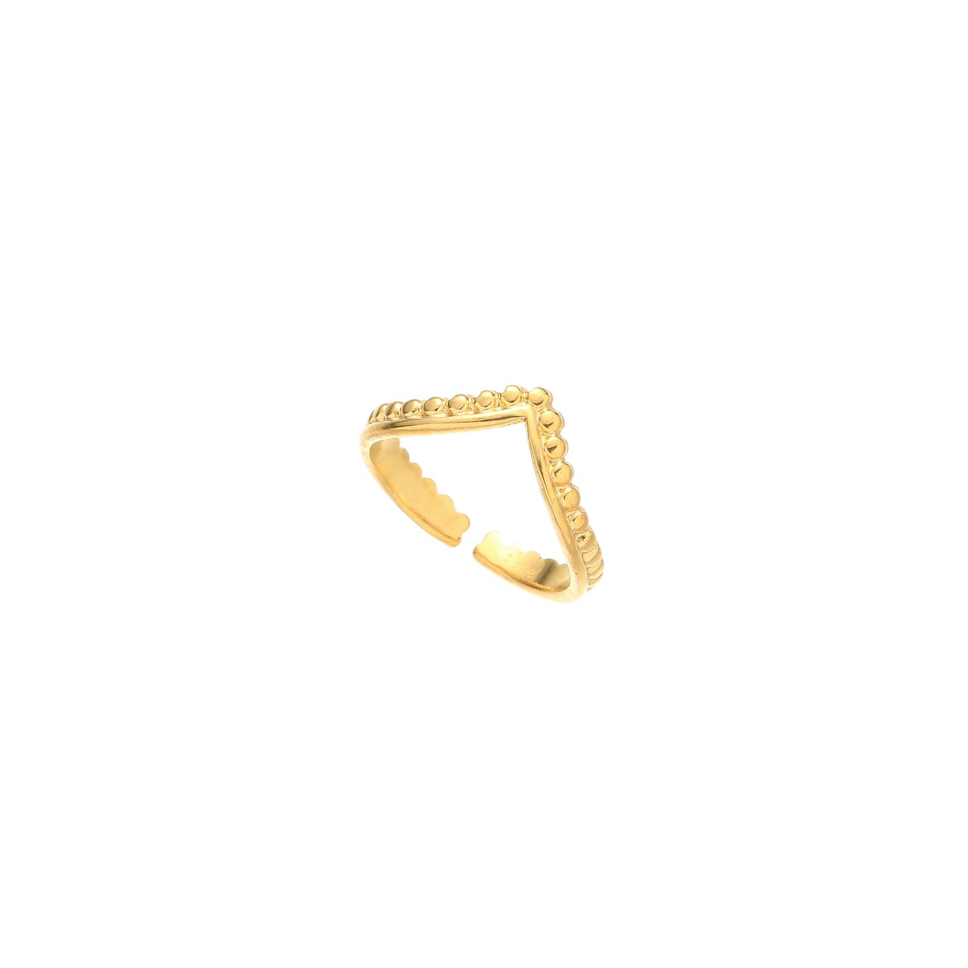 R 305106 -골드