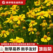 ľշNӶ޸ļ^GֲN̨ͥԺ