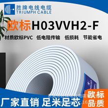 LED���z��  ���^��  100���t������H03VVH2-F 2*0.75  dc�Դ��VD