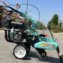 �๦����@����C ��������߲˷Nֲ�_�ϙC ��ݮ��¡�Cǰ�������C