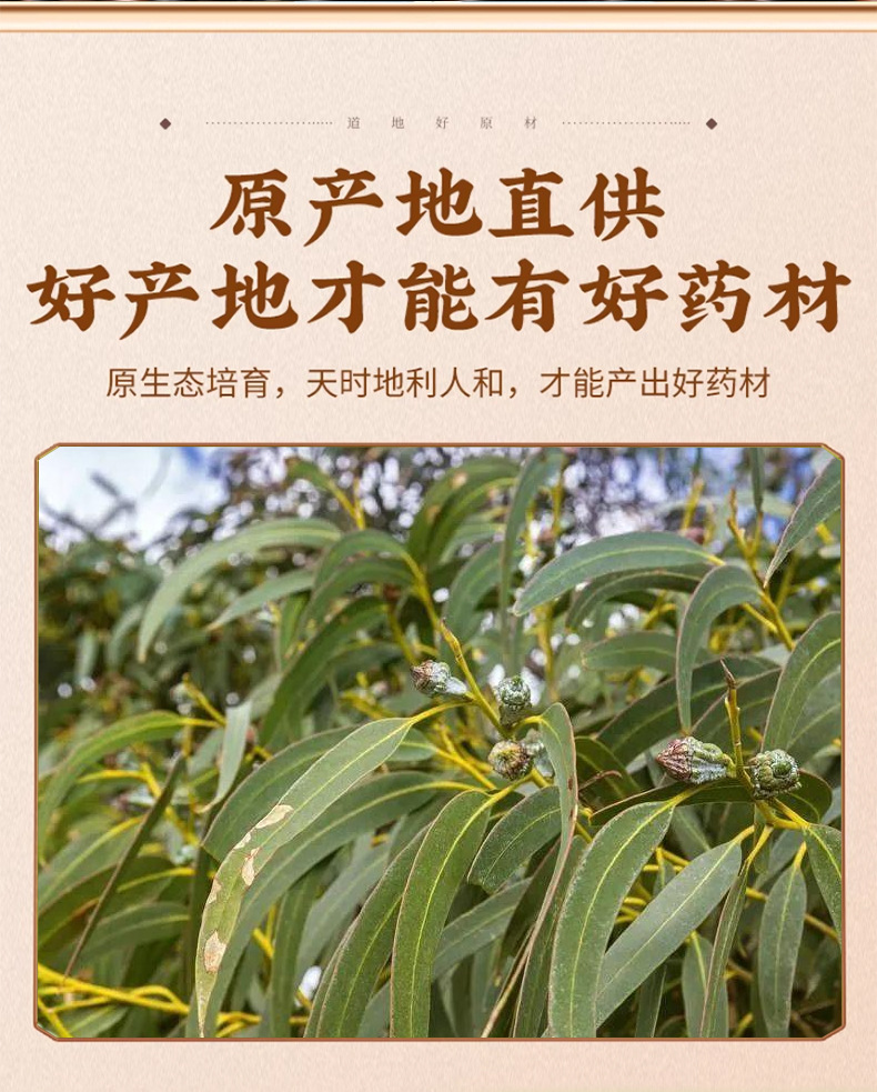 Yi Kou Zhong Dried Fruit 500g Natural Sun Dried Whole Fruit for Herbal Decoction and Tea key features